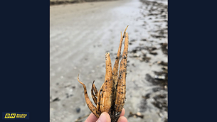 Lawyers for Garda killer Aaron Brady raise concern over negative publicity from upcoming trial