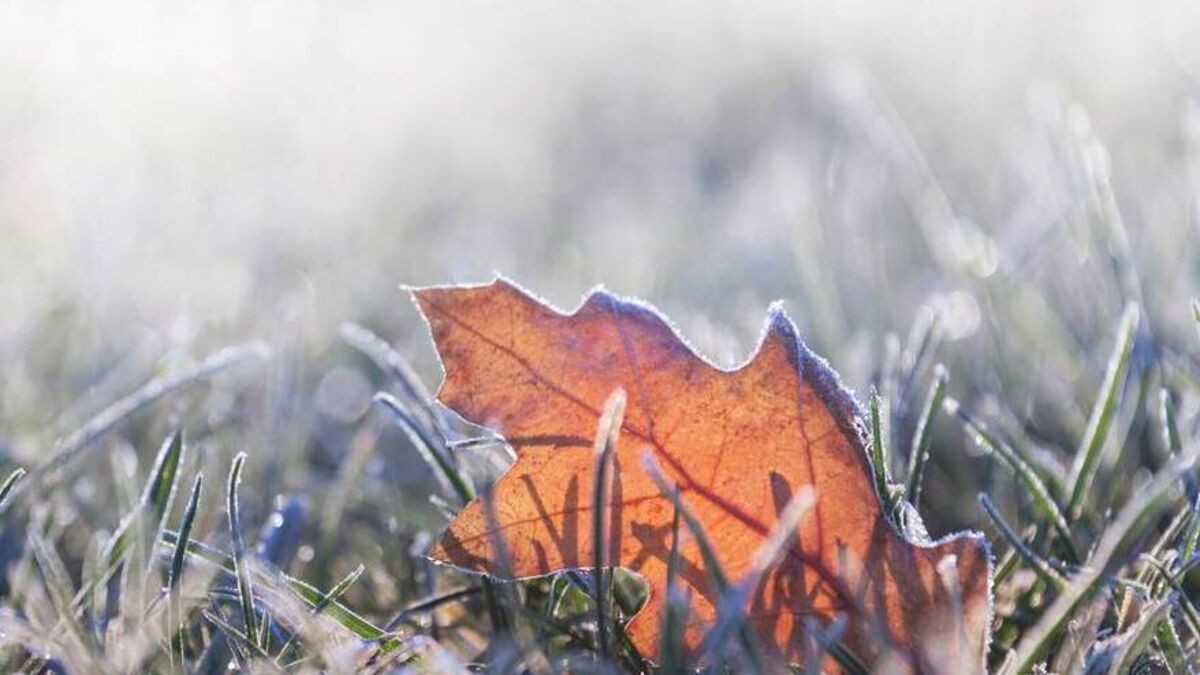 Status Yellow low temperature/ice weather warning issued for County Roscommon