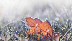 <p>Temperatures are expected to fall between -1 and -3 on Friday night. </p>