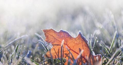 Status Yellow low temperature/ice weather warning issued for County Roscommon