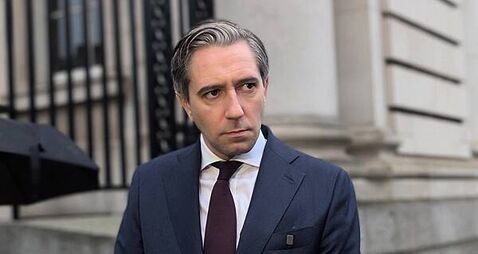 Tánaiste urges anyone with information relating to Epstein to 'go to the Garda'