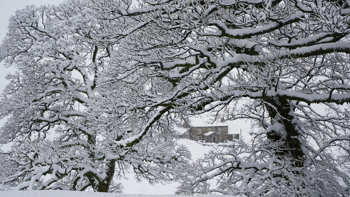 Snow in the forecast for County Roscommon