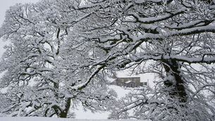 <p>Met Éireann has issue a rain/snow warning for County Roscommon on Saturday.</p>