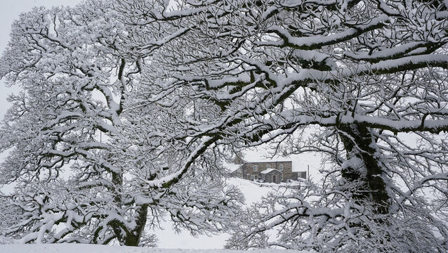 <p>Met Éireann has issue a rain/snow warning for County Roscommon on Saturday.</p>