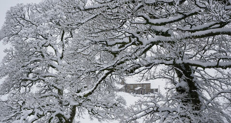 Snow in the forecast for County Roscommon 