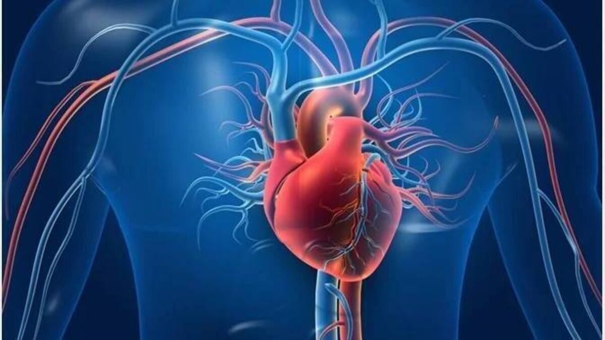 New heart health guide for communities in Roscommon