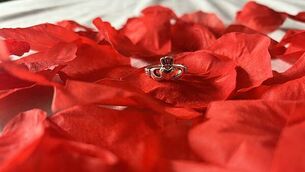 Gardaí seize 39 e-bikes in Dublin worth €130,000 Gardaí seize 39 e-bikes in Dublin worth €130,000