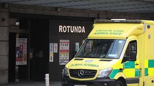 ‘Only for bad luck, he’d have no luck’: Meath family’s blind dog Alfie wins award ‘Only for bad luck, he’d have no luck’: Meath family’s blind dog Alfie wins award