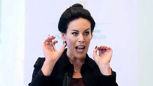 Manhunt underway after suspected petrol bomb thrown at Cork home