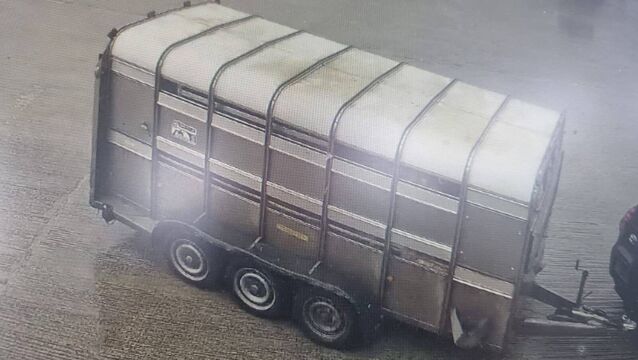 <p>This 14ft Ifor Williams Trailer was stolen in Ballygar last weekend.</p>