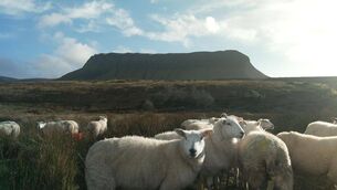 <p>In response to a surge in livestock and machinery robberies, some farmers have begun using drones to detect intruders on their land. </p>