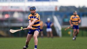 Hurlers grind out hard-earned win against Louth