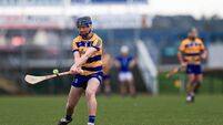 Hurlers grind out hard-earned win against Louth