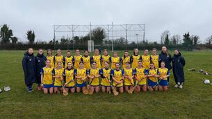 <p>The Roscommon camogie team that lost out to Armagh in the opening round of the Centra Camogie Division 3A League. Picture: Roscommon Camogie.</p> <p>The Roscommon camogie team that lost out to Armagh in the opening round of the Centra Camogie Division 3A League. Picture: Roscommon Camogie.</p>