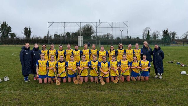 <p>The Roscommon camogie team that lost out to Armagh in the opening round of the Centra Camogie Division 3A League. Picture: Roscommon Camogie.</p>