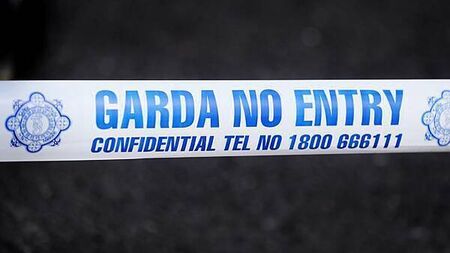 Girl (16) dies in hit-and-run incident in Co Meath as man (20s) arrested