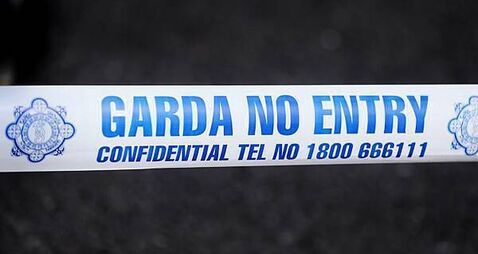 Girl (16) dies in hit-and-run incident in Co Meath as man (20s) arrested