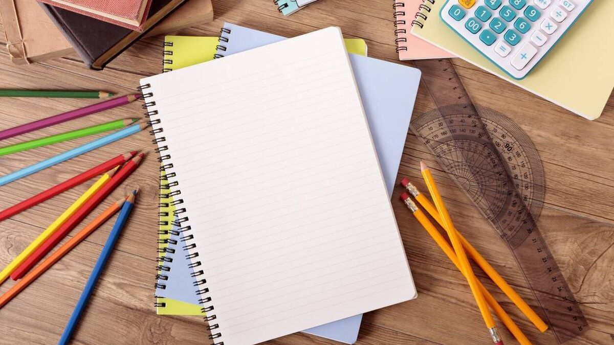 No reduction to SNAs for coming school year - Scahill