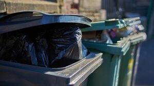 Sixty dustbins "replaced casually" after collection