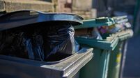 Sixty dustbins "replaced casually" after collection