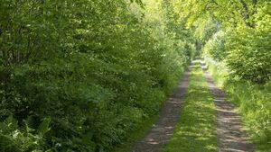 Funding announced for county’s rural roads and laneways