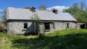 Thirty five acre Roscommon farm comes with derelict residence