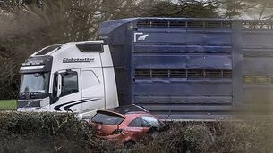 Harris: 'I don’t intend to make a martyr out of Gerry Hutch'