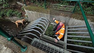 Second arrest in a day by police investigating disappearance of Lisa Dorrian Second arrest in a day by police investigating disappearance of Lisa Dorrian