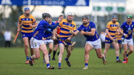 Hurlers play 'get out of jail card' to rescue share of the spoils against Tyrone