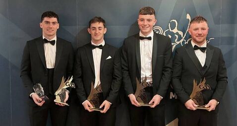 Roscommon goalkeeper named on GAA.ie Hurling Team of the Week