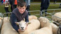Funding announced for four agricultural shows in County Roscommon