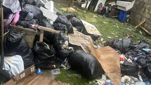 <p>Rubbish piled up in the back garden of the house.</p>