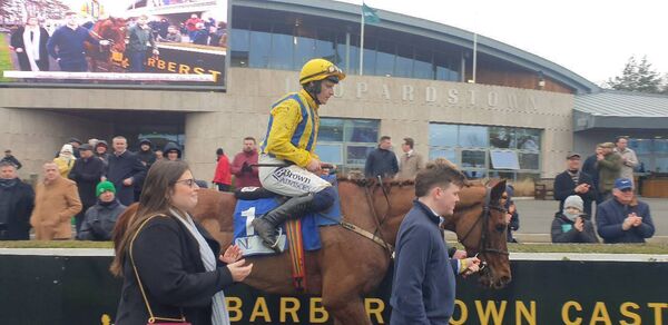 Doctor Steinberg, owned by Loughglynn's Tom Gilligan, will race today on the final day of the Cheltenham Festival. Picture: Irish Horse Racing News.