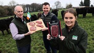 Protest against arms exports to Israel held amid Starmer visit to Dublin