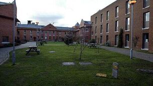 Body of young woman (30s) found in Co Cork