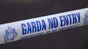 Man (20s) seriously injured after being hit by car in Co Tipperary
