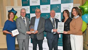 Award for Roscommon company revamping and reimagining old furniture