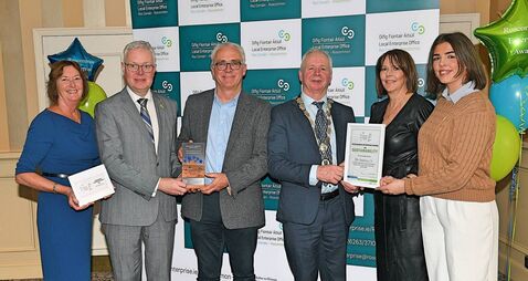 Award for Roscommon company revamping and reimagining old furniture