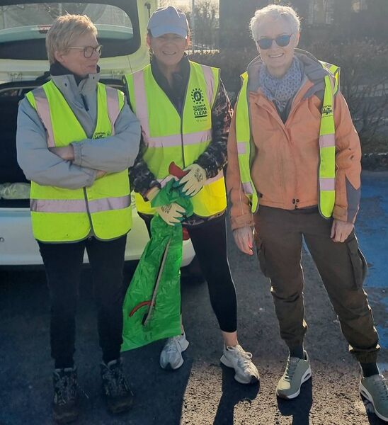 Volunteers who helped out on the Tidy Towns clean-up day in Elphin.