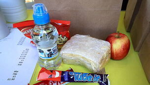 Cork racing tipster seeks injunction over allegedly defamatory online publicaitons