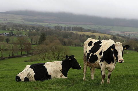 Government set to spend €600,000 on 'social farming model'