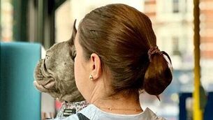 Drivers hit by sharp fuel price hikes while electric vehicle charging stays steady