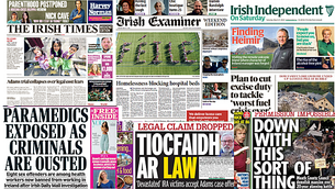 Illuminated artworks exhibition opens at National Botanic Gardens Illuminated artworks exhibition opens at National Botanic Gardens