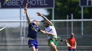 <p>James Dillon and Roscommon were denied promotion and a league final berth by a superior Donegal.</p>