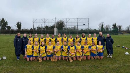 Roscommon progress through to league final