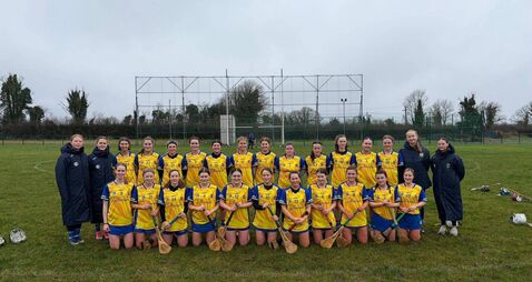 Roscommon progress through to league final