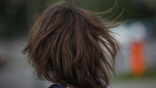 Stunning woodland property in Clare for €695,000