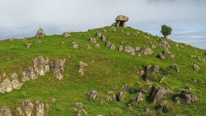 Lecture on archaeology of Knockcroghery area