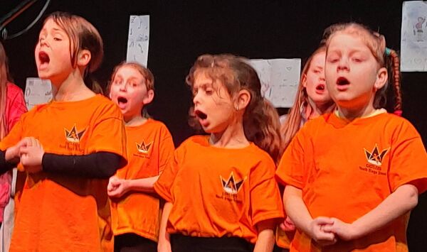 In full voice at Castlerea Youth Stage School's annual show.
