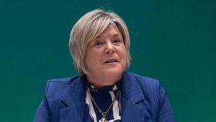 Ancient oak which fell in storm to live on as casks for revived whiskey brand Ancient oak which fell in storm to live on as casks for revived whiskey brand